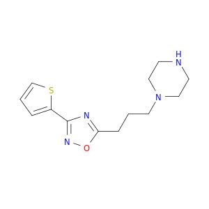 AV31551