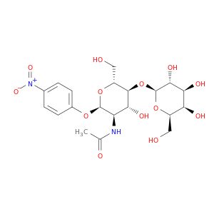 AF00304