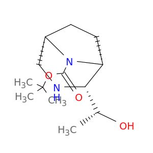 BM47252