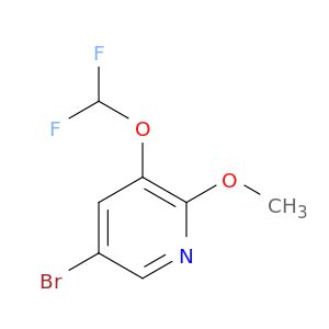 AE66524
