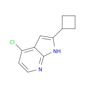 BO51035