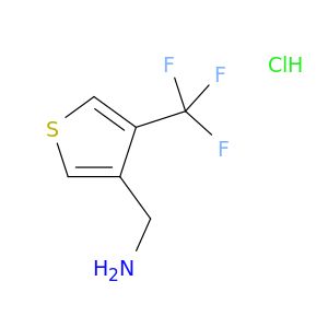 AY04257