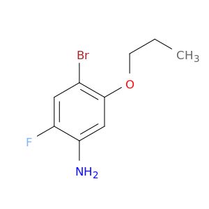 BA38666