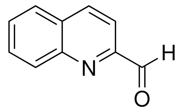 334251