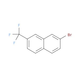 BM16487