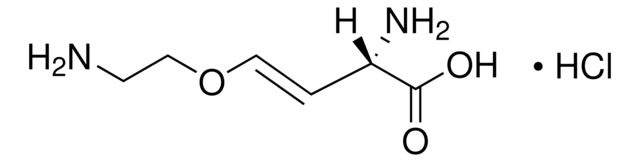 A6685