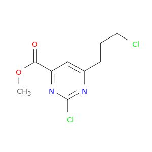 BM12204
