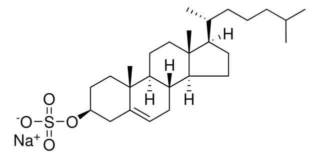 700016P
