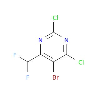 BL81671