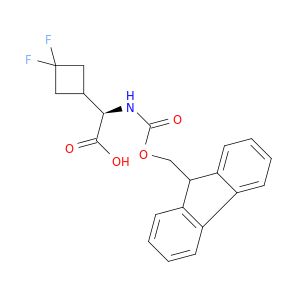 BM55540