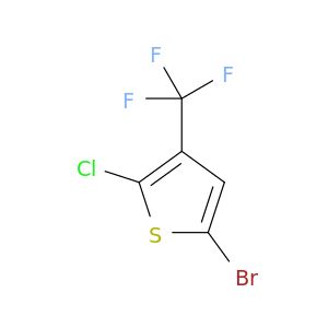 BF09063