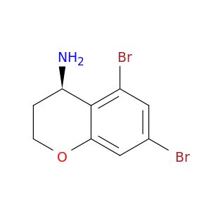 BW92037