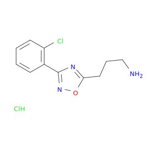 AY07517