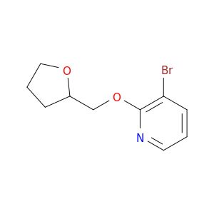 BM17202