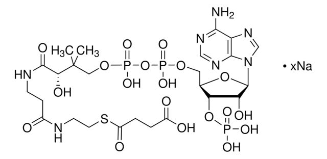 S1129