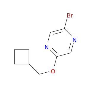 BM29337