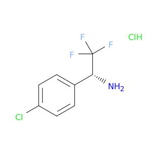 AE45568