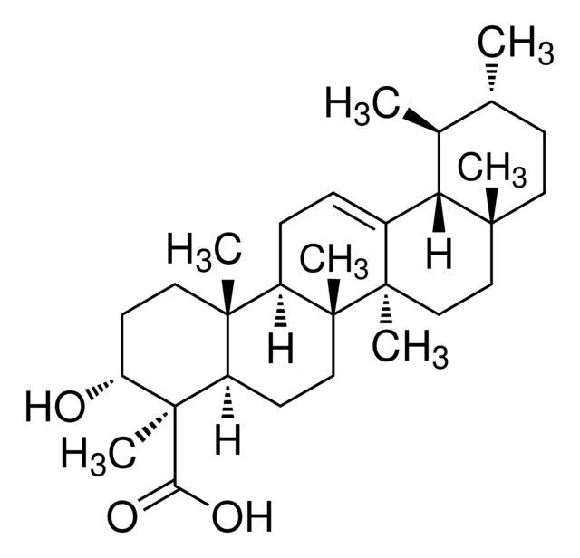 80342