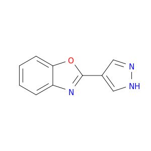 BJ05019