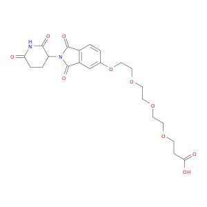 BM03556