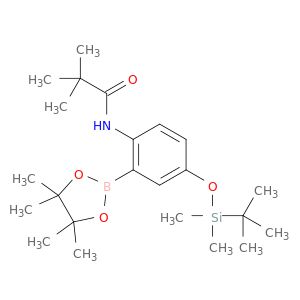 BM58656