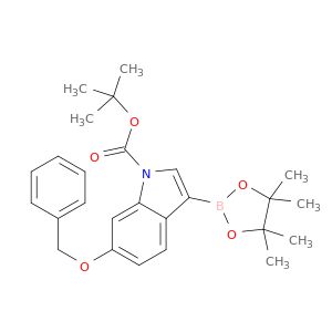 BA05823