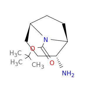 BA07505
