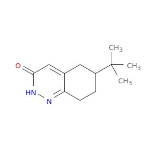 AW46962