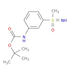 AY05842