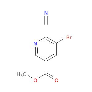 BL40774
