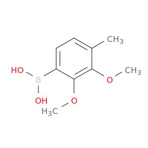 BM81366