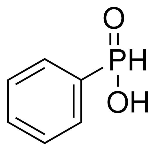P28808