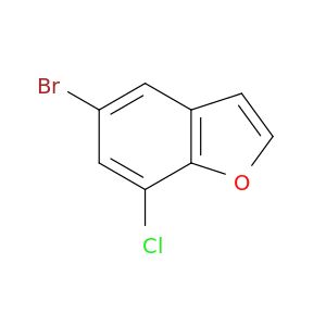 AA24137