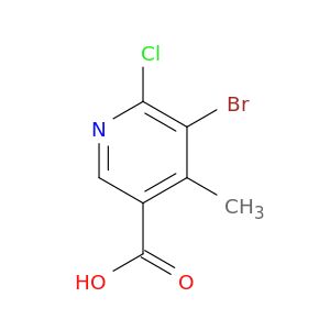 BM44468