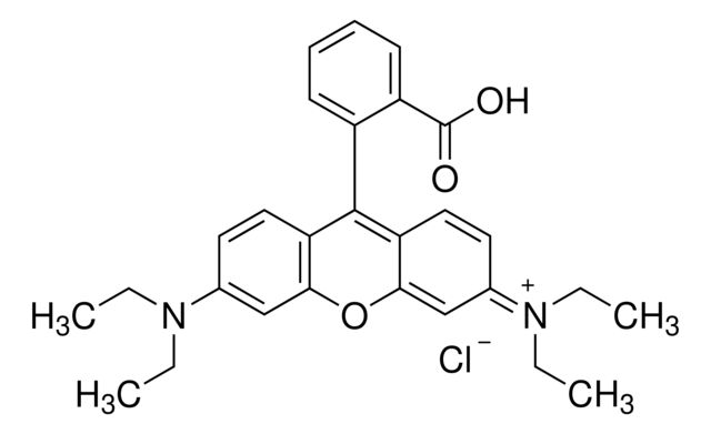 79754