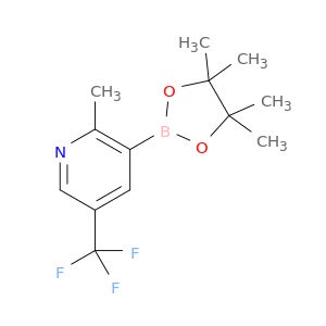 BA13024